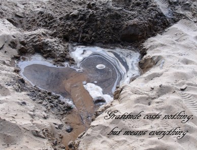 GEDSC DIGITAL CAMERA